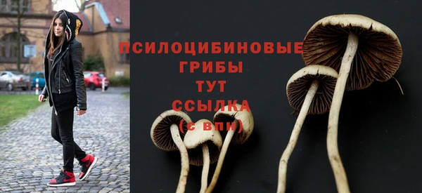 а пвп мука Беломорск